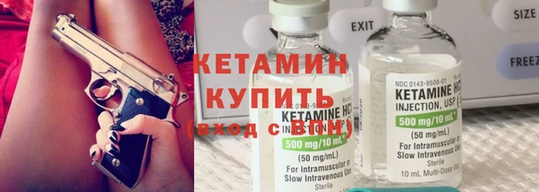 шишки Абаза