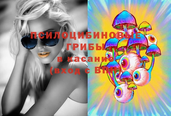 метадон Армянск