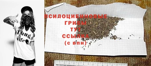 шишки Алексеевка