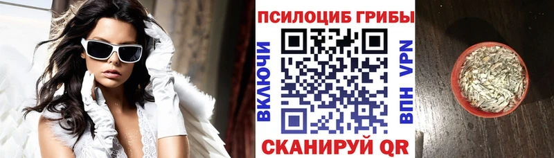 Псилоцибиновые грибы GOLDEN TEACHER  Магадан 