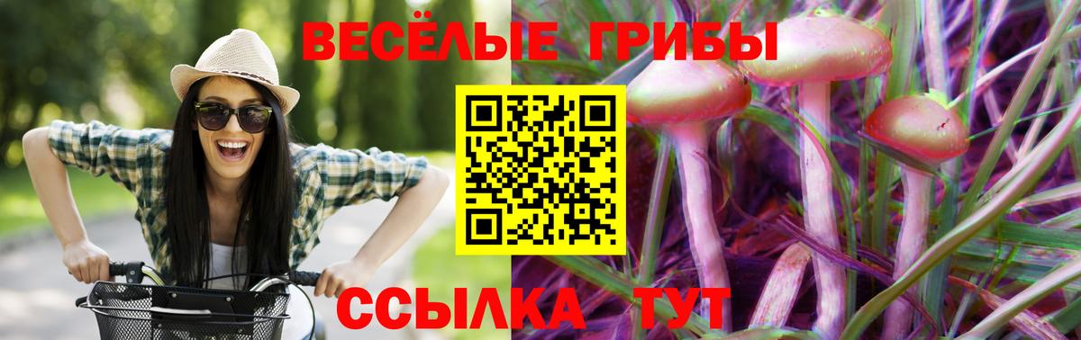 Псилоцибиновые грибы Psilocybe  Вход с VPN  Псилоцибиновые грибы MAGIC MUSHROOMS  Магадан 