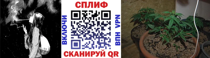 shop Telegram Магадан Марихуана планчик